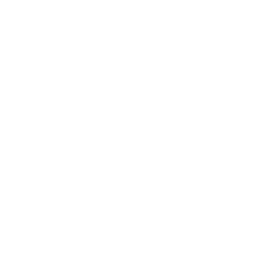 mekaniker_vit
